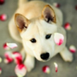 Meet your Posher, Sianna